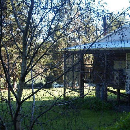 Hawke Brook Chalets Pemberton Exterior photo